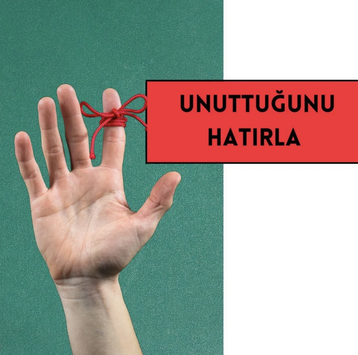Unuttuğunu Hatırla